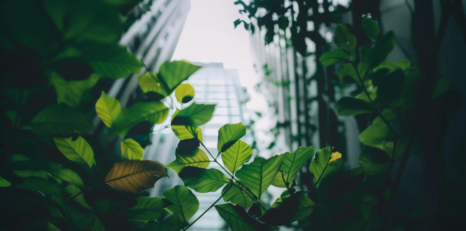 Certificaciones medioambientales